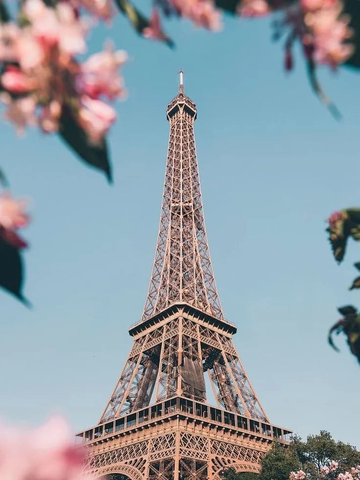 Torre Eiffel enmarcada por ramas de cerezo en flor y cielo azul